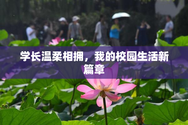 学长温柔相拥，我的校园生活新篇章