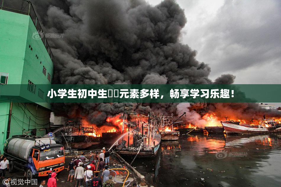 小学生初中生❌‌元素多样，畅享学习乐趣！
