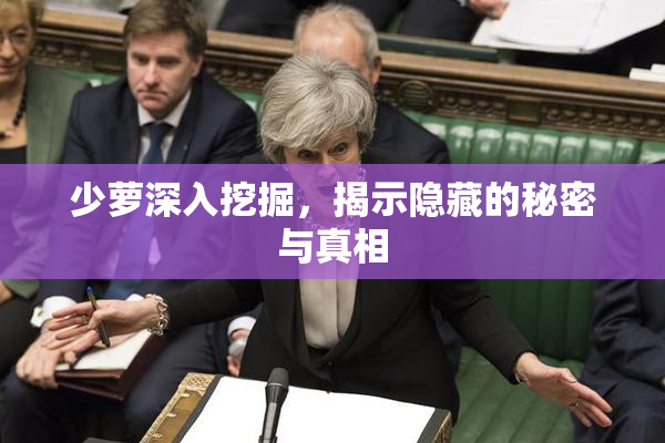 少萝深入挖掘，揭示隐藏的秘密与真相