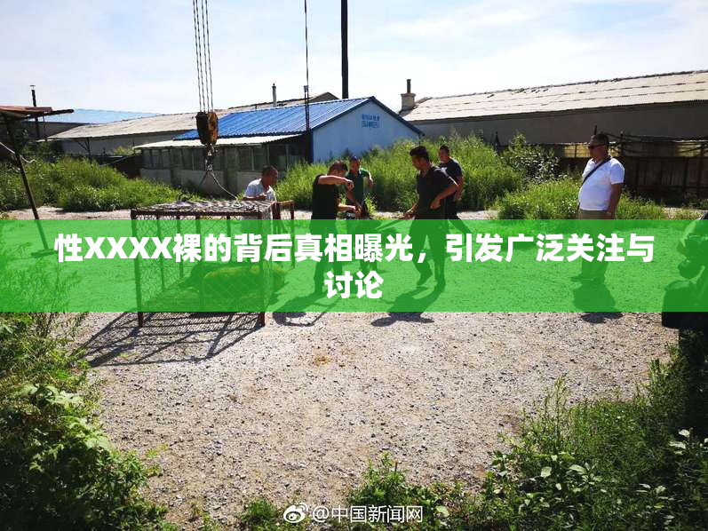 性XXXX裸的背后真相曝光，引发广泛关注与讨论
