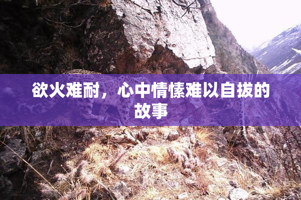 欲火难耐，心中情愫难以自拔的故事