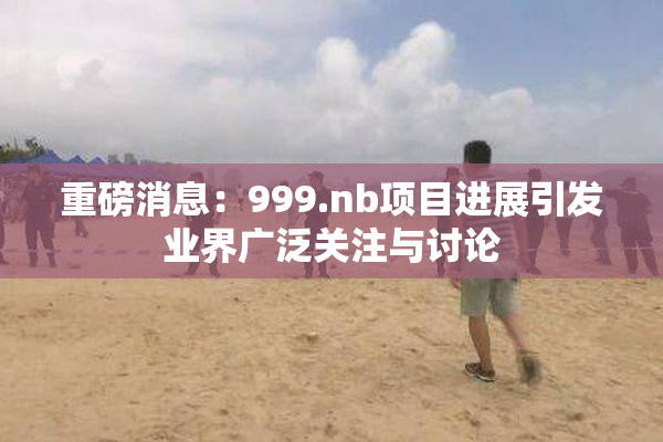 重磅消息：999.nb项目进展引发业界广泛关注与讨论