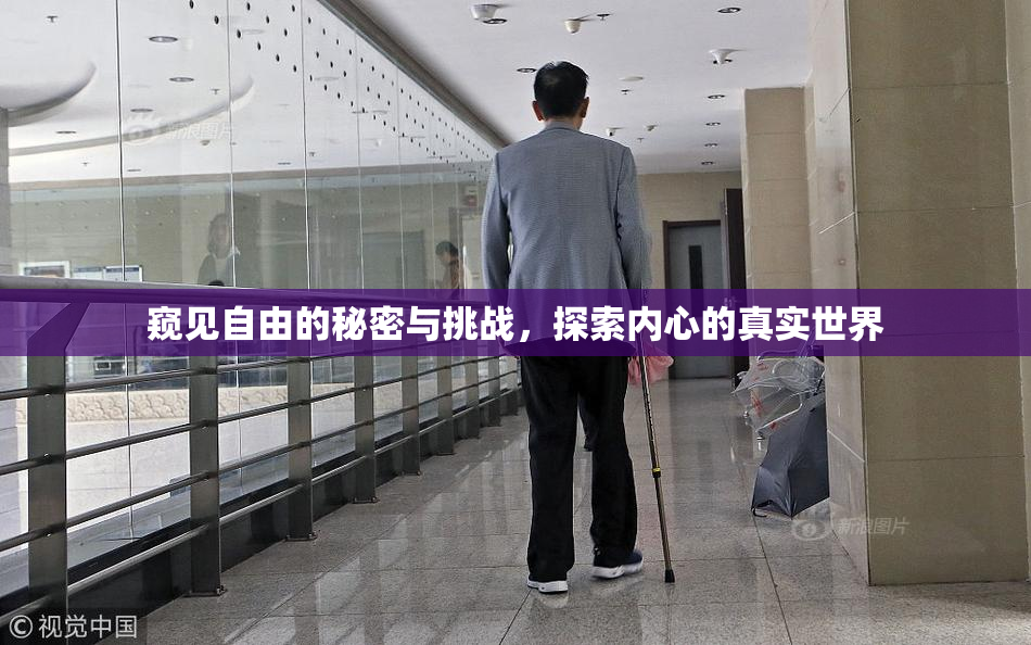 窥见自由的秘密与挑战，探索内心的真实世界