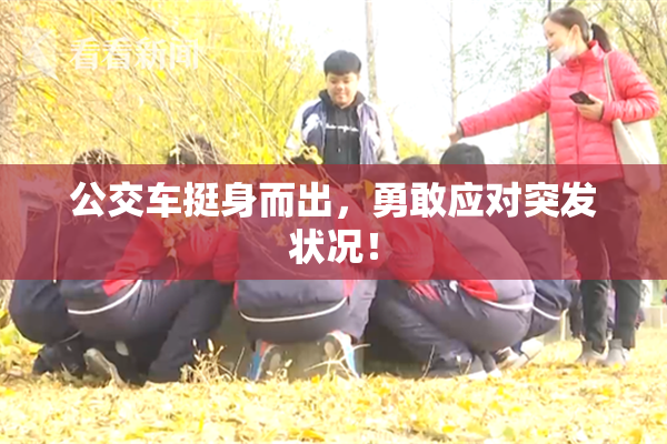 公交车挺身而出，勇敢应对突发状况！
