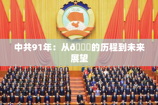 中共91年：从🍆的历程到未来展望
