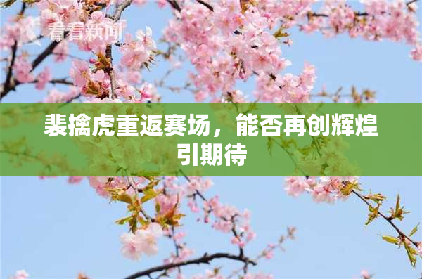 裴擒虎重返赛场，能否再创辉煌引期待