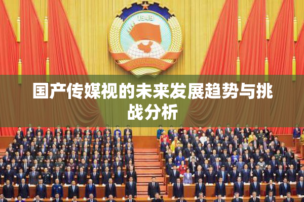 国产传媒视的未来发展趋势与挑战分析