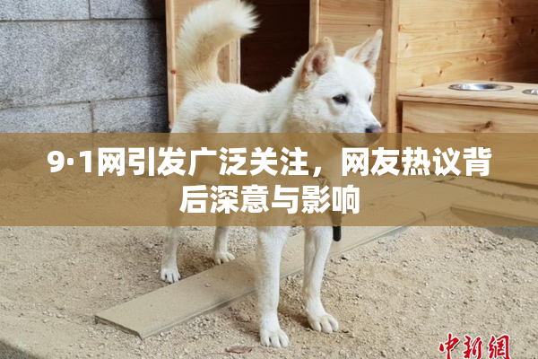 9·1网引发广泛关注，网友热议背后深意与影响