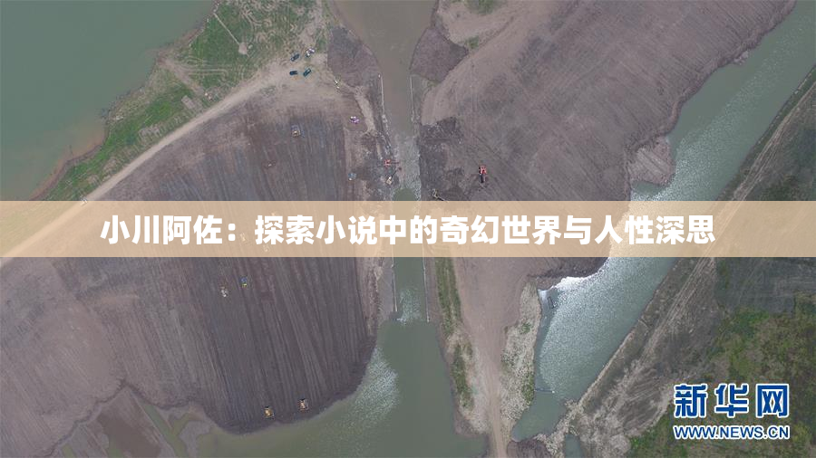 小川阿佐：探索小说中的奇幻世界与人性深思