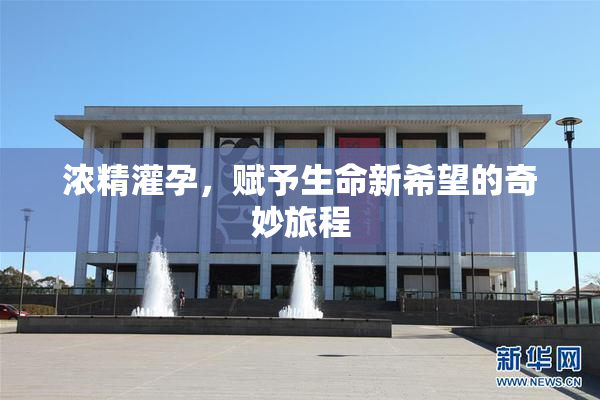 浓精灌孕，赋予生命新希望的奇妙旅程