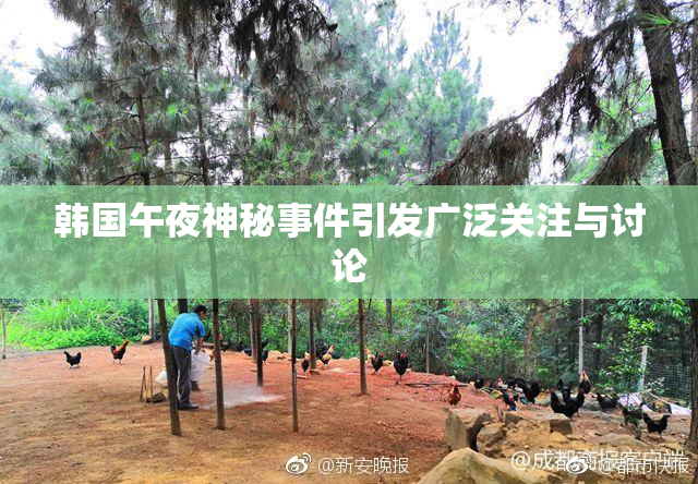 韩国午夜神秘事件引发广泛关注与讨论
