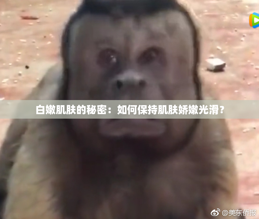 白嫩肌肤的秘密：如何保持肌肤娇嫩光滑？
