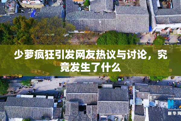 少萝疯狂引发网友热议与讨论，究竟发生了什么