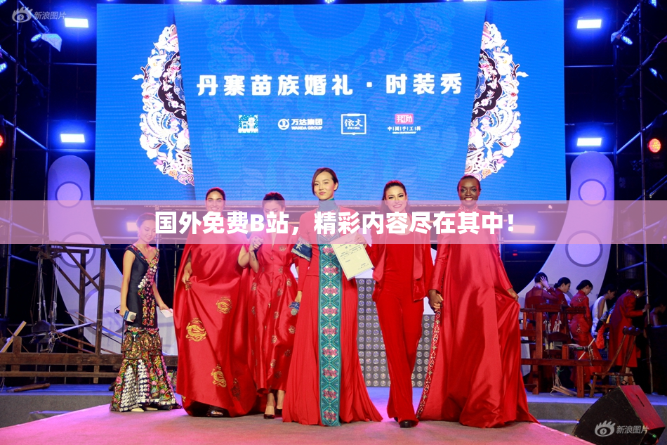 国外免费B站，精彩内容尽在其中！