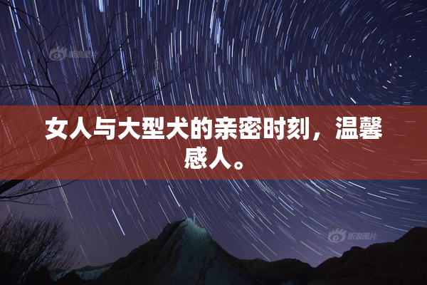 女人与大型犬的亲密时刻，温馨感人。