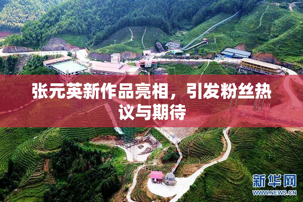 张元英新作品亮相，引发粉丝热议与期待