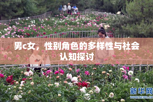 男c女，性别角色的多样性与社会认知探讨