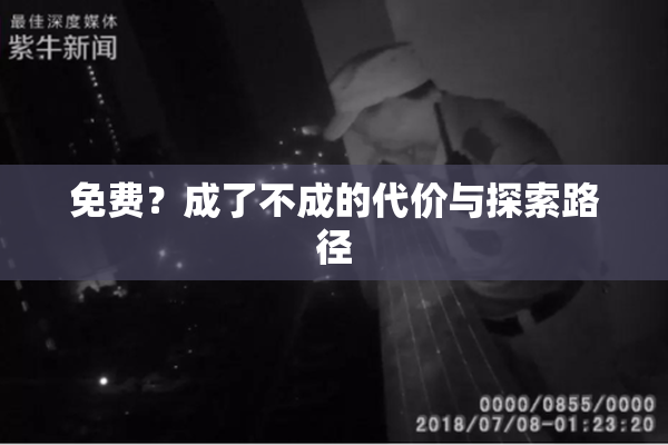 免费？成了不成的代价与探索路径