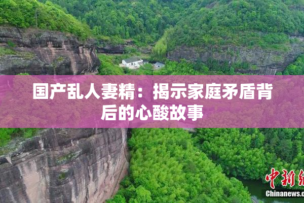 国产乱人妻精：揭示家庭矛盾背后的心酸故事