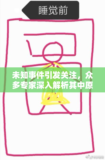 未知事件引发关注，众多专家深入解析其中原因与影响。
