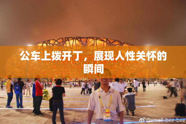 公车上拨开丁，展现人性关怀的瞬间