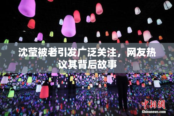 沈莹被老引发广泛关注，网友热议其背后故事