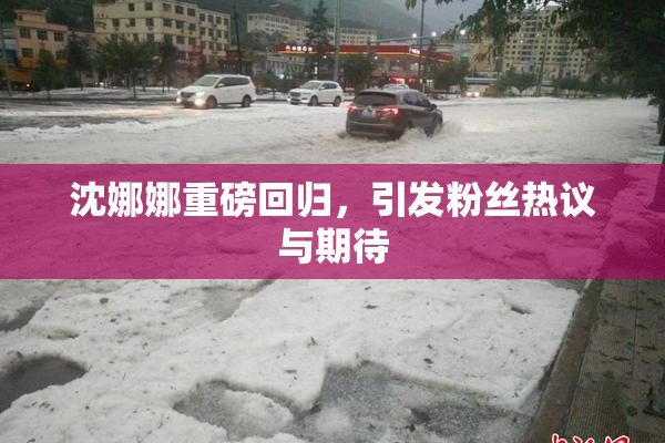 沈娜娜重磅回归，引发粉丝热议与期待