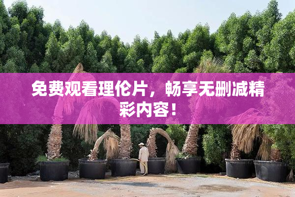 免费观看理伦片，畅享无删减精彩内容！