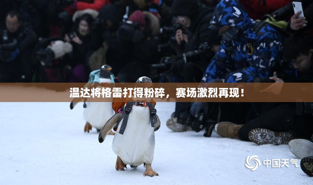 温达将格雷打得粉碎，赛场激烈再现！