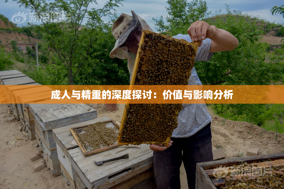 成人与精重的深度探讨：价值与影响分析