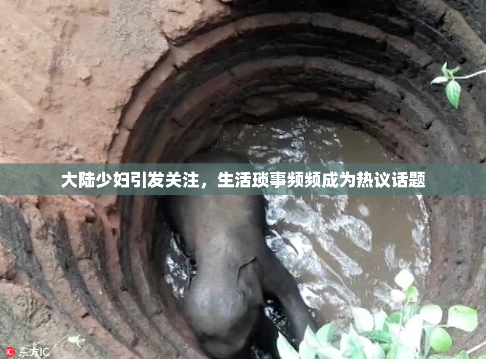 大陆少妇引发关注，生活琐事频频成为热议话题