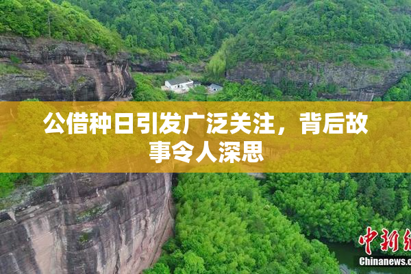 公借种日引发广泛关注，背后故事令人深思