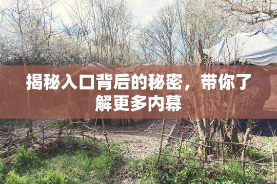 揭秘入口背后的秘密，带你了解更多内幕
