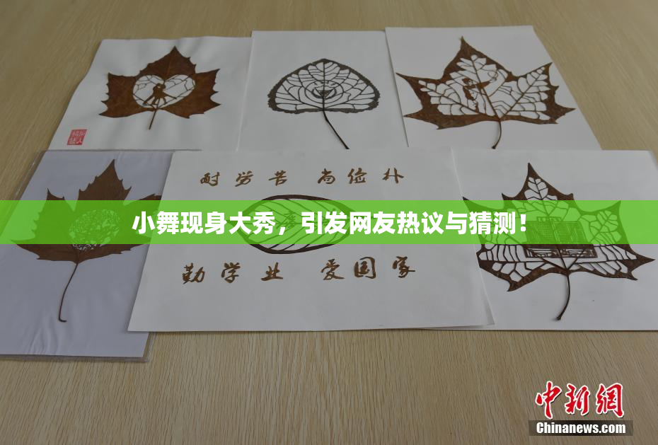 小舞现身大秀，引发网友热议与猜测！