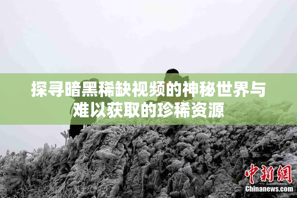 探寻暗黑稀缺视频的神秘世界与难以获取的珍稀资源