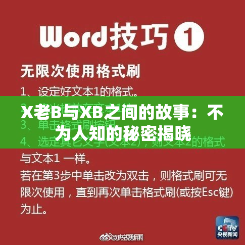 X老B与XB之间的故事：不为人知的秘密揭晓