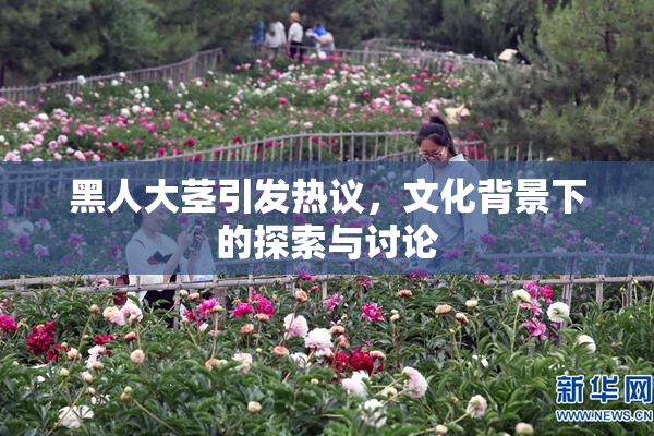 黑人大茎引发热议，文化背景下的探索与讨论
