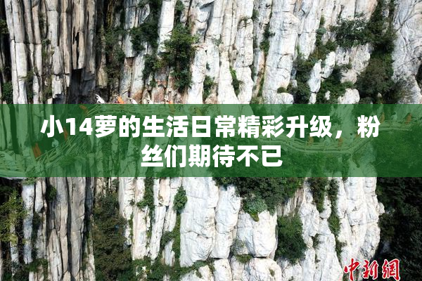小14萝的生活日常精彩升级，粉丝们期待不已