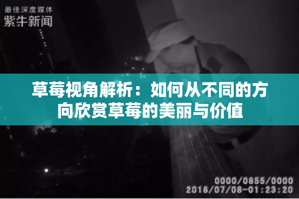 草莓视角解析：如何从不同的方向欣赏草莓的美丽与价值