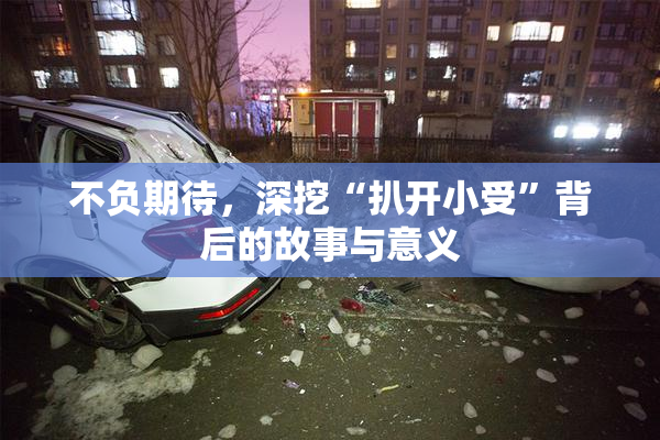 不负期待，深挖“扒开小受”背后的故事与意义