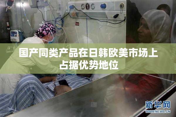 国产同类产品在日韩欧美市场上占据优势地位