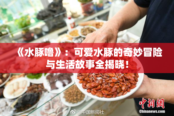 《水豚噜》：可爱水豚的奇妙冒险与生活故事全揭晓！