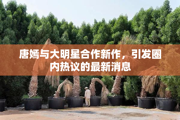 唐嫣与大明星合作新作，引发圈内热议的最新消息