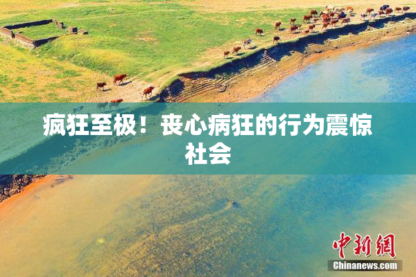 疯狂至极！丧心病狂的行为震惊社会