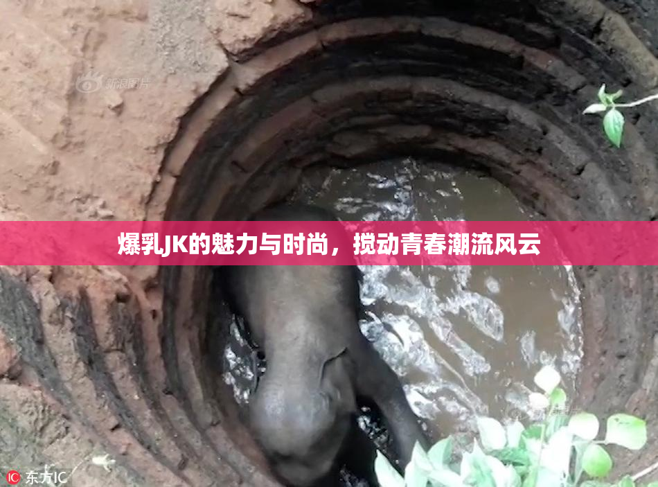 爆乳JK的魅力与时尚，搅动青春潮流风云