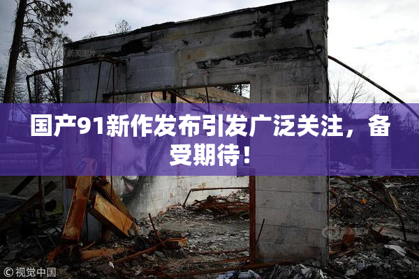 国产91新作发布引发广泛关注，备受期待！