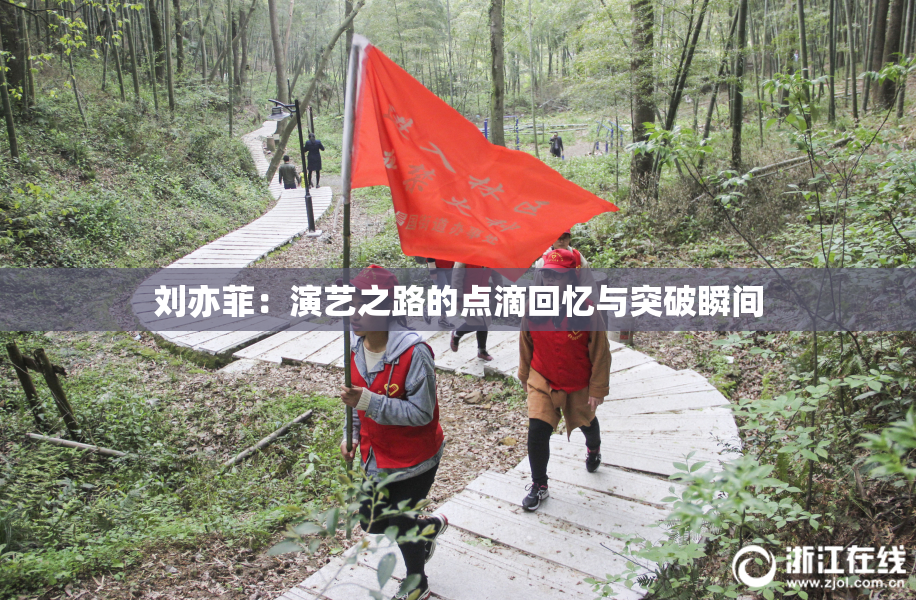 刘亦菲：演艺之路的点滴回忆与突破瞬间