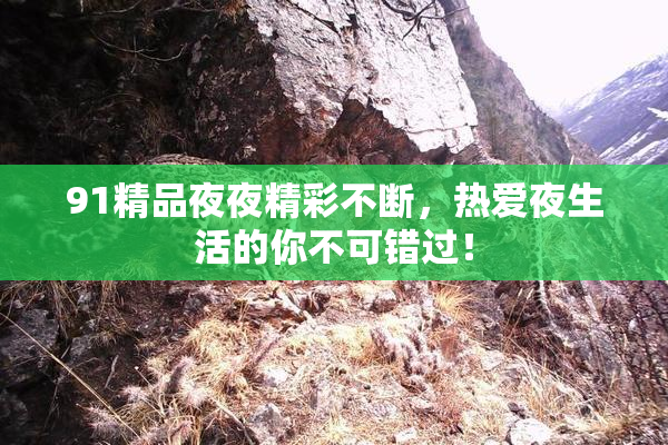 91精品夜夜精彩不断，热爱夜生活的你不可错过！