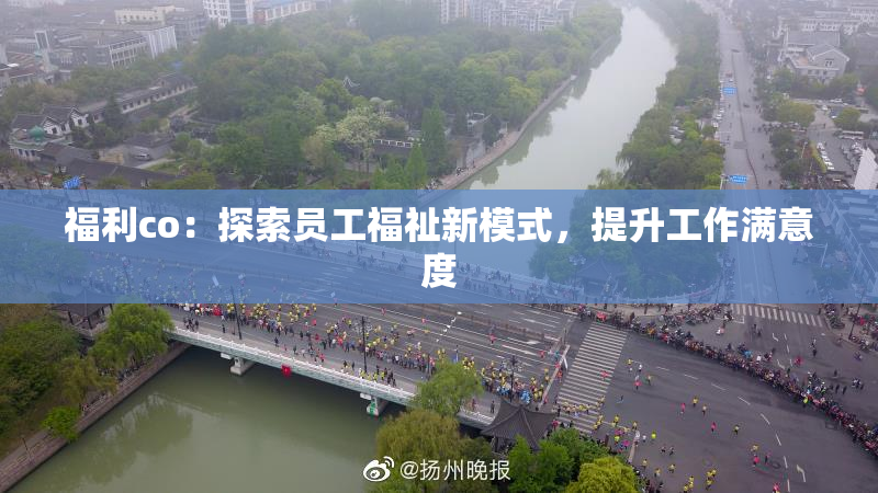 福利co：探索员工福祉新模式，提升工作满意度