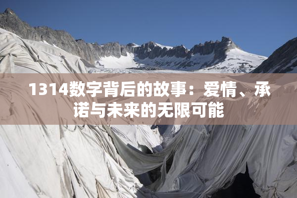 1314数字背后的故事：爱情、承诺与未来的无限可能